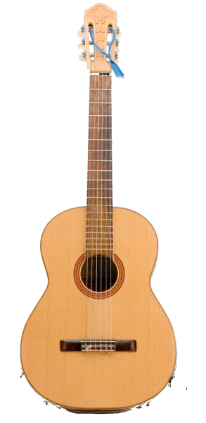 File:Instrument-icon-guitar.png